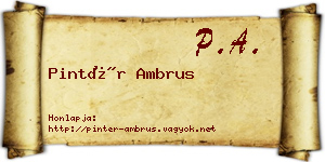 Pintér Ambrus névjegykártya