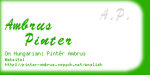ambrus pinter business card